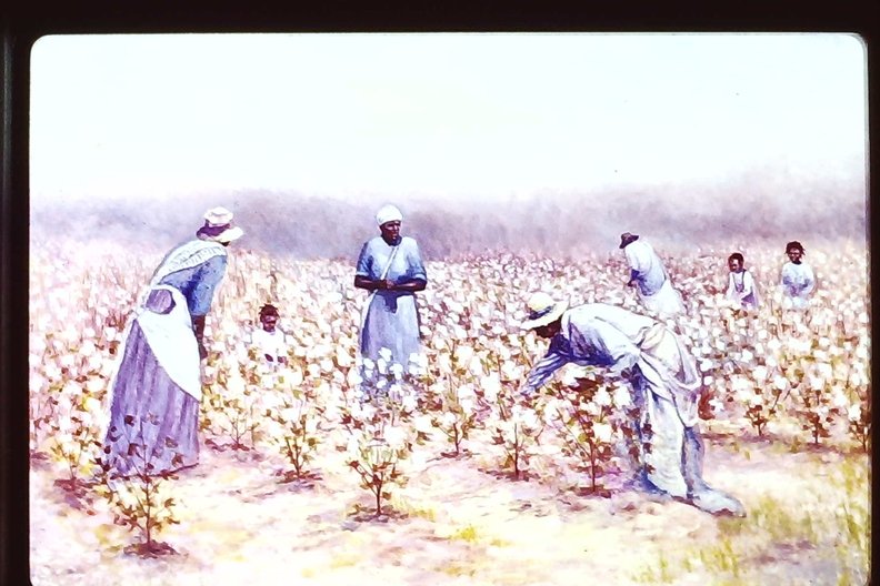 FilmScan_slide_135_5M_20210110_172422240.jpg